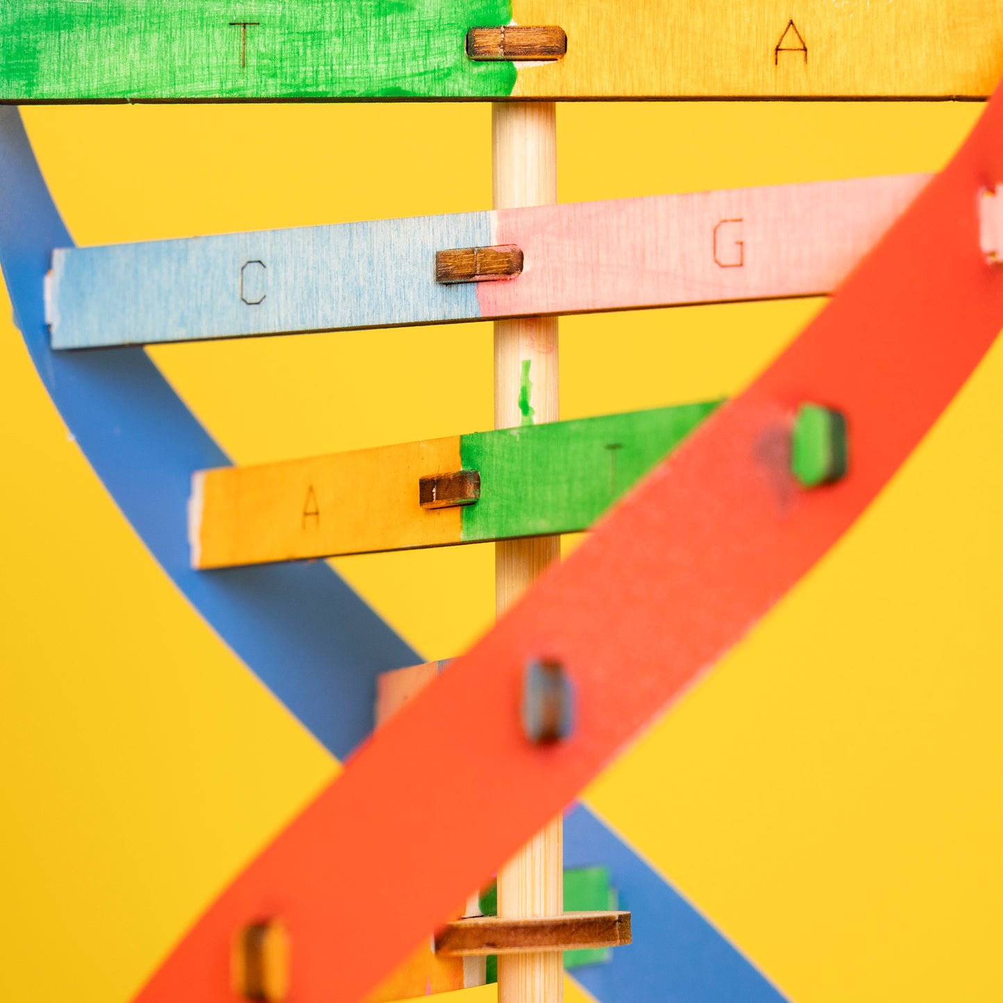 ST084 DIY DNA Double Helix Model Kit