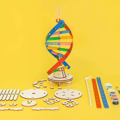 ST084 DIY DNA Double Helix Model Kit