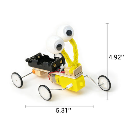 ST028 Bug Robot