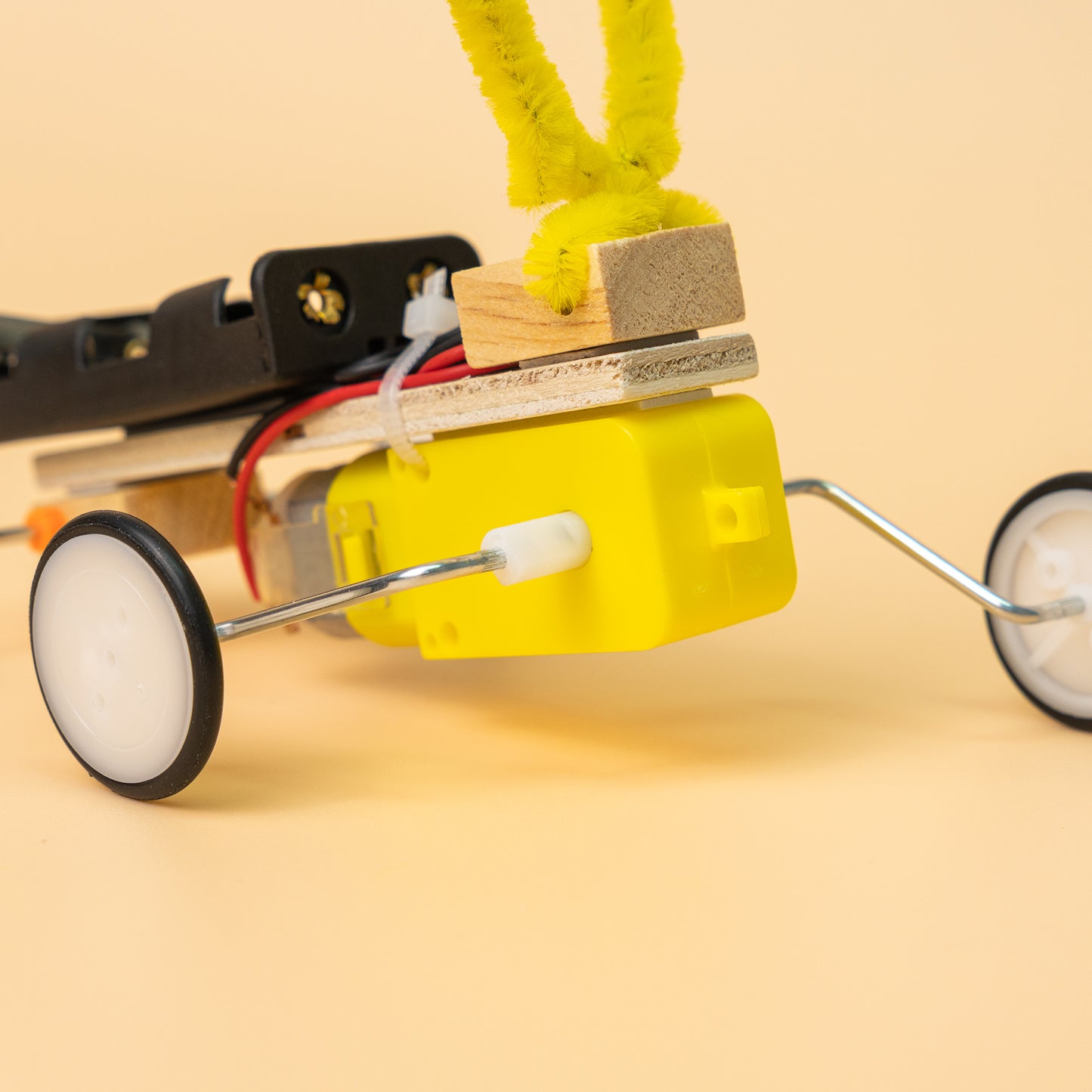 ST028 Bug Robot