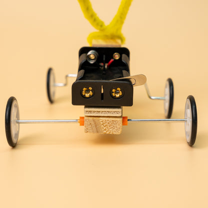 ST028 Bug Robot